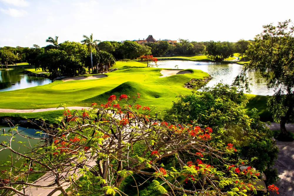 Hard Rock Golf Course Gallery
